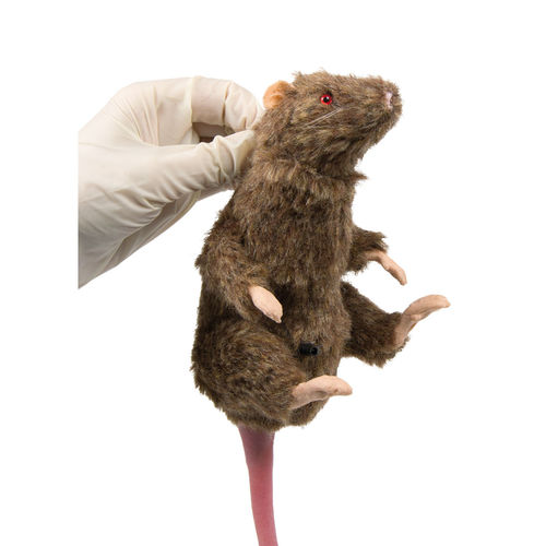 Maniquí de prácticas para experimentación con animales - VET4210 - Erler-Zimmer - de roedor