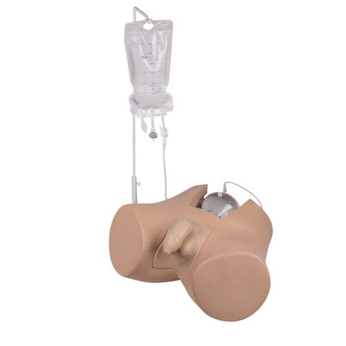 Simulador de cateterismo - 7040 - Erler-Zimmer - de formación / masculino