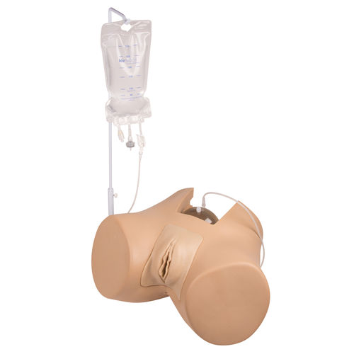 Simulador de cateterismo - 7050 - Erler-Zimmer - de formación / femenino