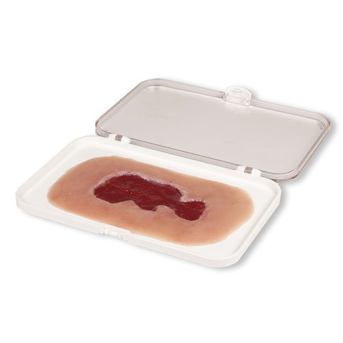 Simulador de gestión de heridas - PW002B - Erler-Zimmer - para cuidados de enfermería / pad