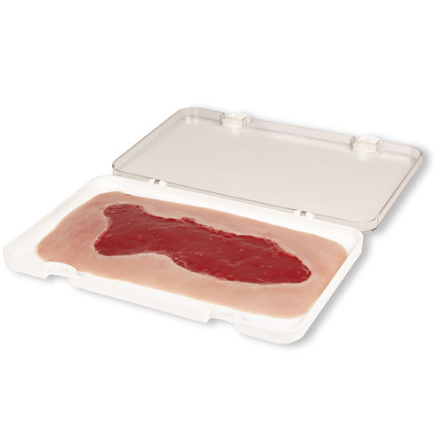 Simulador de gestión de heridas - PW003B - Erler-Zimmer - para cuidados de enfermería / pad