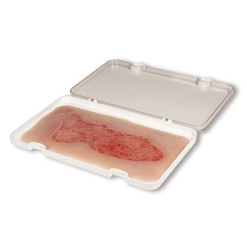 Simulador de gestión de heridas - PW003C - Erler-Zimmer - para cuidados de enfermería / pad