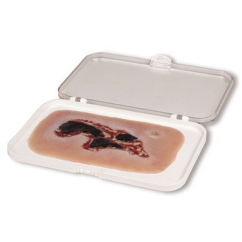 Simulador de gestión de heridas - PW004A - Erler-Zimmer - para cuidados de enfermería / pad