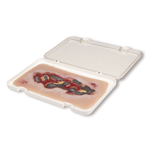 Simulador de gestión de heridas - PW005A - Erler-Zimmer - para cuidados de enfermería / pad