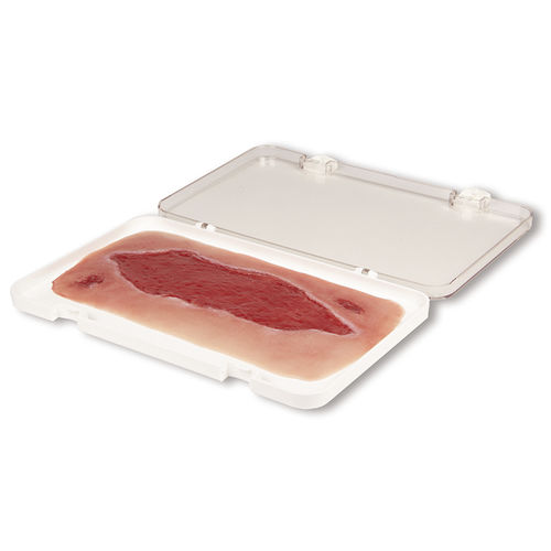 Simulador de gestión de heridas - PW005B - Erler-Zimmer - para cuidados de enfermería / pad