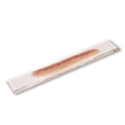 Simulador de gestión de heridas - PW009A - Erler-Zimmer - para cuidados de enfermería / pad