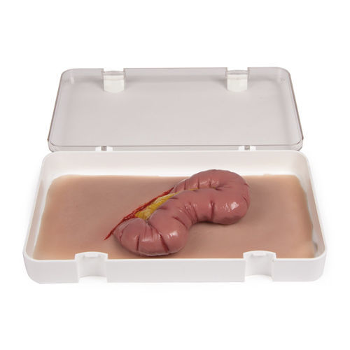 Simulador de formación - NW109 - Erler-Zimmer - de gestión de heridas / para cuidados de urgencias / pad