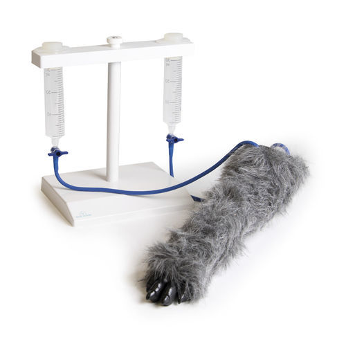 Simulador de inyección intravenosa - VET4610 - Erler-Zimmer - veterinario / canino / de mano
