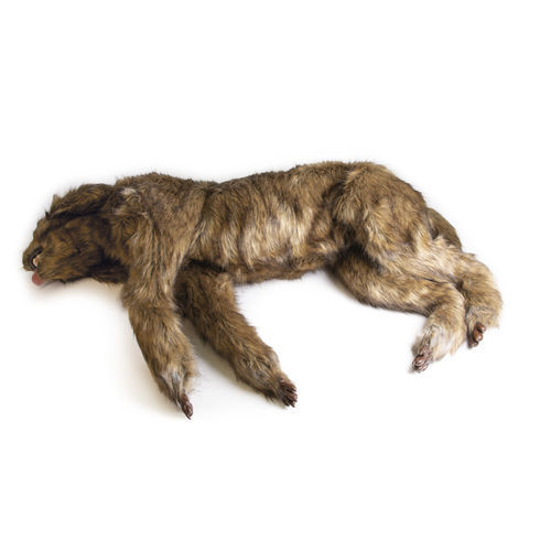 Maniquí de prácticas de cirugía - VET4630 - Erler-Zimmer - veterinario / de demostración / de perro