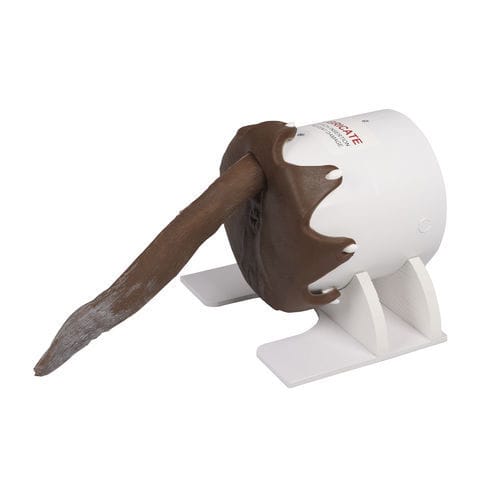 Simulador de palpación rectal - VET4650 - Erler-Zimmer - veterinario / canino / de silicona