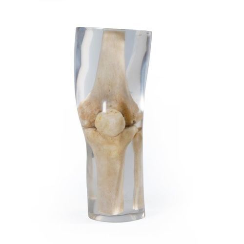 Fantoma de prueba para radiología - 7250 - Erler-Zimmer - de rodilla