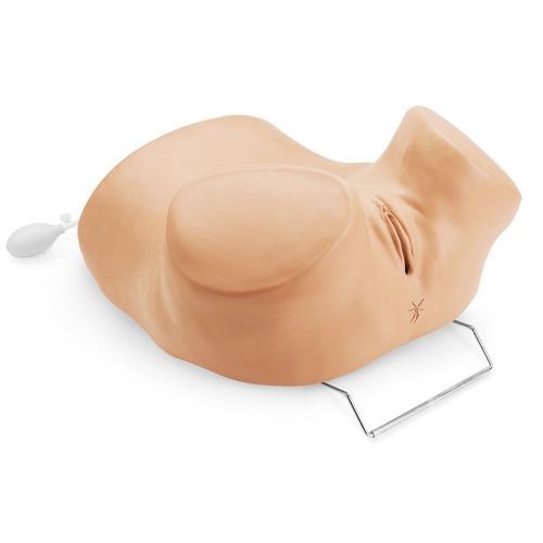 Simulador de reconocimiento pélvico - R10186 - Erler-Zimmer - de colocación de DIU / femenino / adulto