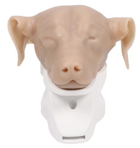 Simulador de formación - VET4670 - Erler-Zimmer - de otoscopia / veterinario / de perro