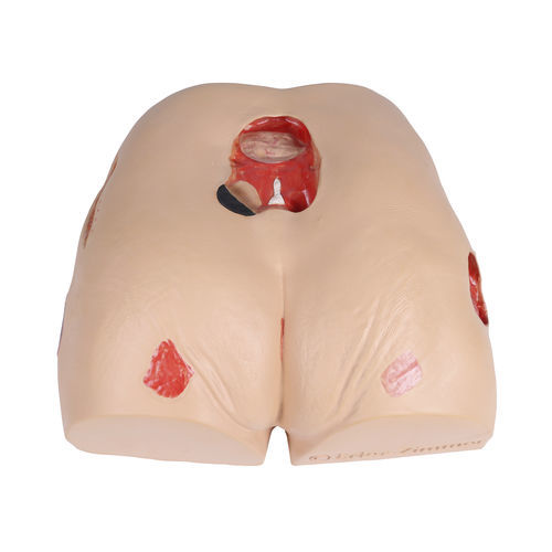 Simulador para el tratamiento de escaras - 7600 - Erler-Zimmer - de formación / para atención general / geriátrico