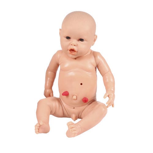 Simulador de paciente de traqueotomía - BA185 - Erler-Zimmer - de nutrición / para cuidados de enfermería / masculino