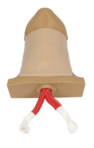 Simulador de parto - 7660 - Erler-Zimmer - de cricotiroidotomía / de formación / de anatomía