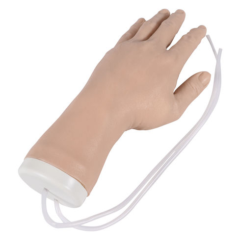 Simulador de inyección intravenosa - 8035 - Erler-Zimmer - para atención general / de mano