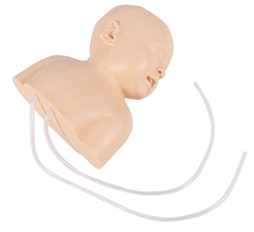 Simulador de punción - 8040 - Erler-Zimmer - de inyección / para atención general / neonatal