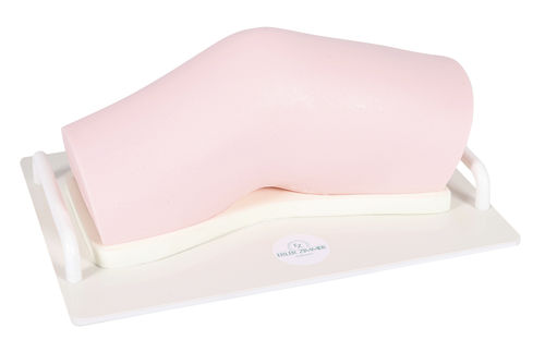 Simulador de imagen médica - SEZ-KN - Erler-Zimmer - de formación / de anatomía / de rodilla