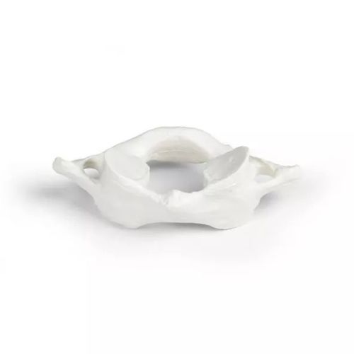 Modelo anatómico de vértebras - 3062 - Erler-Zimmer - adulto / masculino / blanco