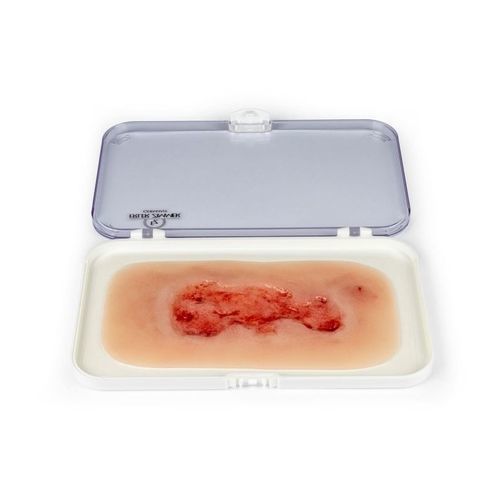 Simulador de gestión de heridas - PW002C - Erler-Zimmer - para cuidados de enfermería / pad
