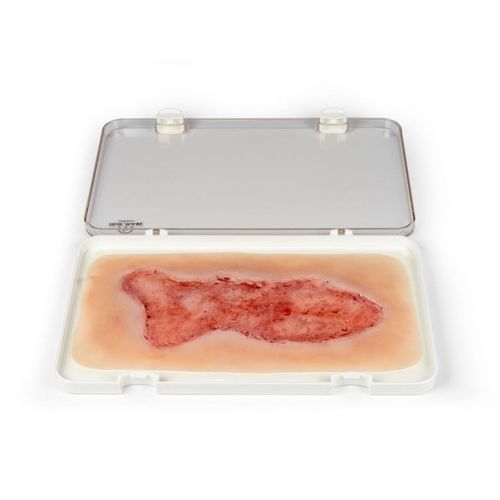 Simulador de gestión de heridas - PW003C - Erler-Zimmer - para cuidados de enfermería / pad