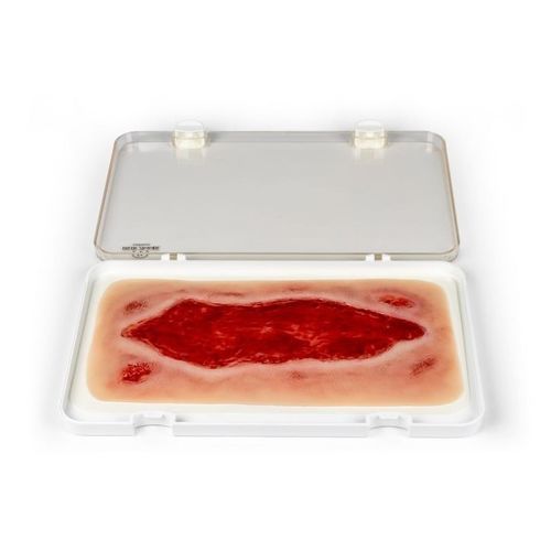 Simulador de gestión de heridas - PW005B - Erler-Zimmer - para cuidados de enfermería / pad