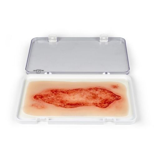 Simulador de gestión de heridas - PW005C - Erler-Zimmer - para cuidados de enfermería / pad