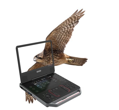 Ecógrafo veterinario portátil - MyLab™Falcon - Esaote - multifuncional / para animales pequeños / para animales grandes