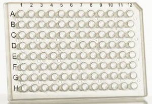 Microplaca para PCR - ECPCR07 series - EuroClone - de transferencia / de 96 orificios / biológica