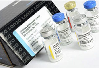 Kit de prueba de coagulación - LAL - EuroClone - para microbiología / para endotoxinas / para bacterias