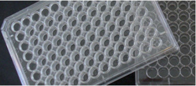 Microplaca de laboratorio - Primo® - EuroClone - de cultivo celular / de 48 orificios
