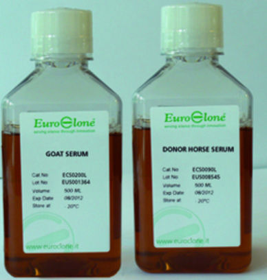 Reactivo suero de cabra - ECS0200D - EuroClone - para cultivos celulares / líquido