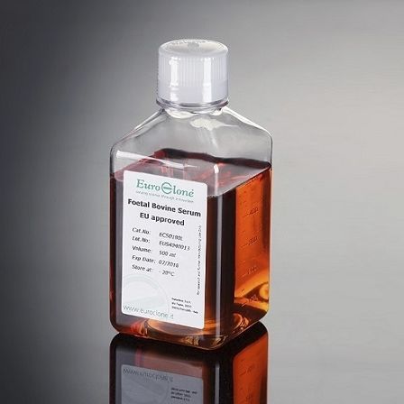 Reactivo de suero - ECS01 series - EuroClone - SFB / factor de crecimiento / fibronectina