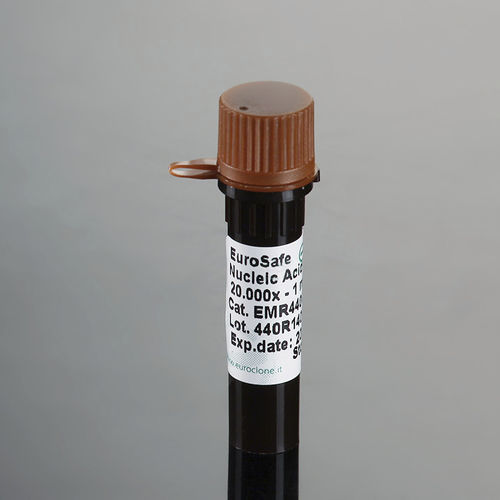 Reactivo colorante - EuroSafe - EuroClone - de electroforesis / de ácidos nucleicos / líquido