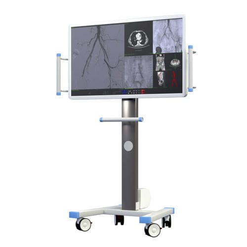 Monitor para imágenes médicas - Eurocolumbus - 4K / 55" / portátil
