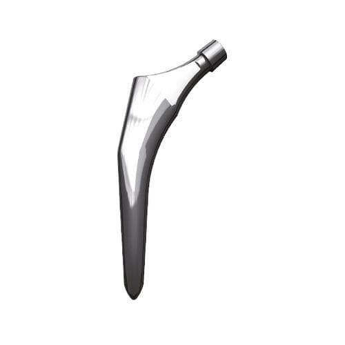 Vástago femoral cementado o no cementado - F2H - FH Orthopedics