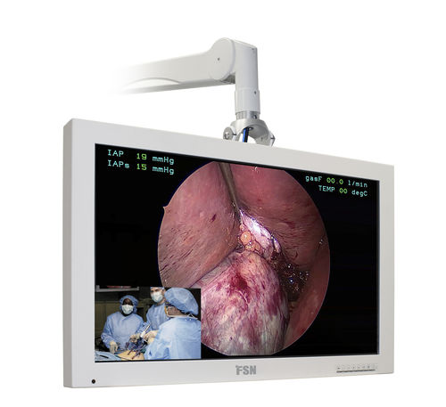 Monitor de diagnóstico - FS-L3202D - FSN Medical Technologies - para endoscopia / quirúrgico / Full HD