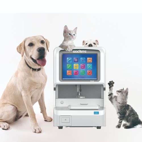 Analizador de quimica clinica automático - Q-Vet - Goldsite Diagnostics Inc. - veterinario / de mesa / con analizador de electrolito