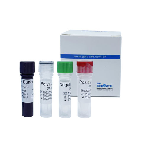 Kit de prueba para viruela del mono - GPCR1300 series - Goldsite Diagnostics Inc. - para enfermermedades infecciosas / de suero / para RT-PCR