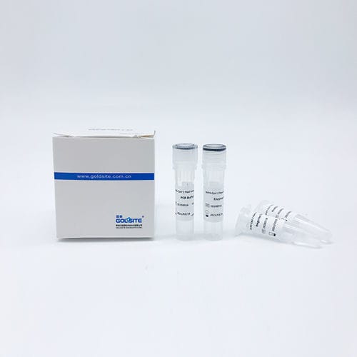 Kit de reactivos solución tampón - Goldsite Diagnostics Inc. - ADN polimerasas / retrotranscriptasa / de ácidos nucleicos