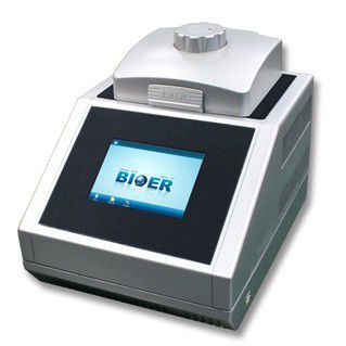 Termociclador con función gradiente - Life ECO - Hangzhou Bioer Techonology   - de 96 orificios / con pantalla táctil / con puerto USB