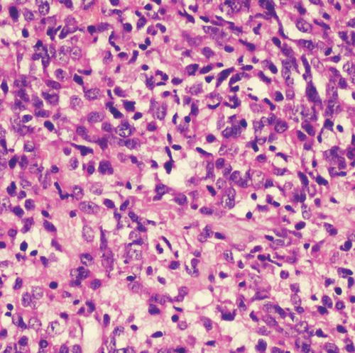 Reactivo solución de coloración - 01HEMM1000 - Histo-Line Laboratories - colorante / para histologia / líquido