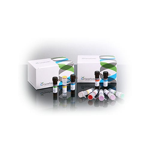 Kit de prueba para enfermermedades infecciosas - GeneFinder™  - OSANG Healthcare - de cáncer de cuello uterino / de oncología / HPV