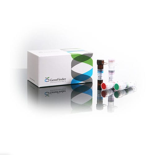 Kit de prueba de tuberculosis - GeneFinder™  - OSANG Healthcare - de complejo Mycobacterium tuberculosis / Mycobacterium tuberculosis / de microbacterias