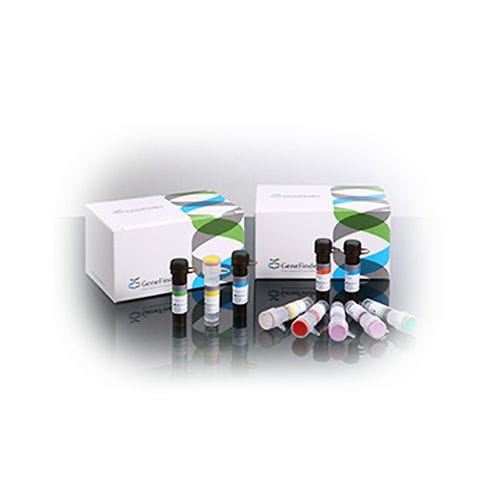 Kit de prueba para enfermermedades infecciosas - GeneFinder™ - OSANG Healthcare - virus del papiloma humano / de secreciones vaginales / para PCR
