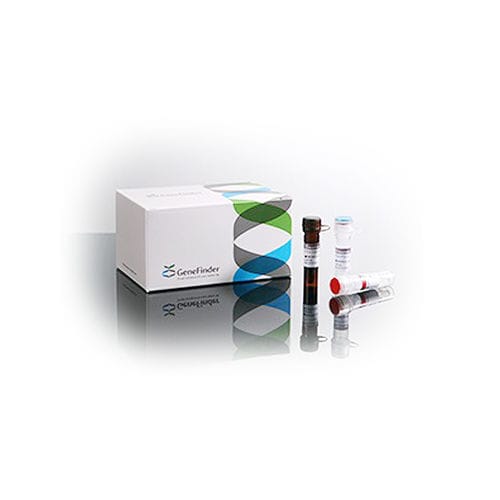 Kit de prueba de enfermedades inflamatorias - GeneFinder™ - OSANG Healthcare - para gen HLA-B / de sangre total / ambiental
