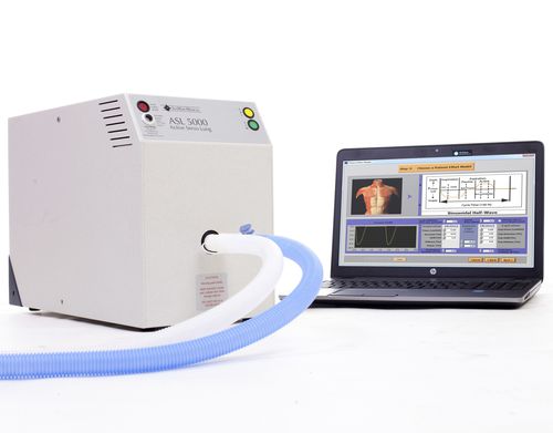 Simulador de respiración - ASL 5000 - IngMar Medical - para cuidados de urgencias / para cuidados intensivos / pantalla