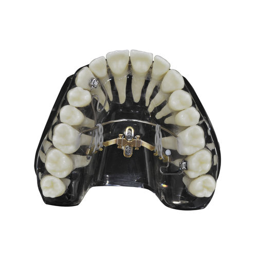 Implante dental cónico - LIM - Jeil Medical Corporation - de titanio / externo / recto