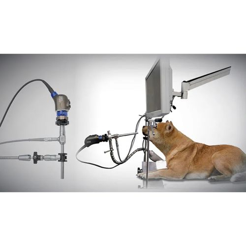 Cabezal de cámara veterinario - VITOM® 25 - KARL STORZ - para cirugía abierta / analógico / HD